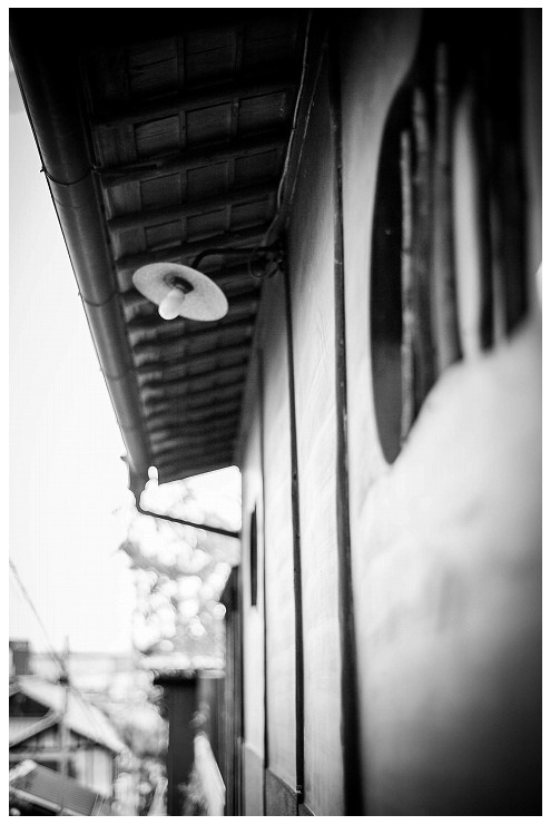 monochrome 猫の細道