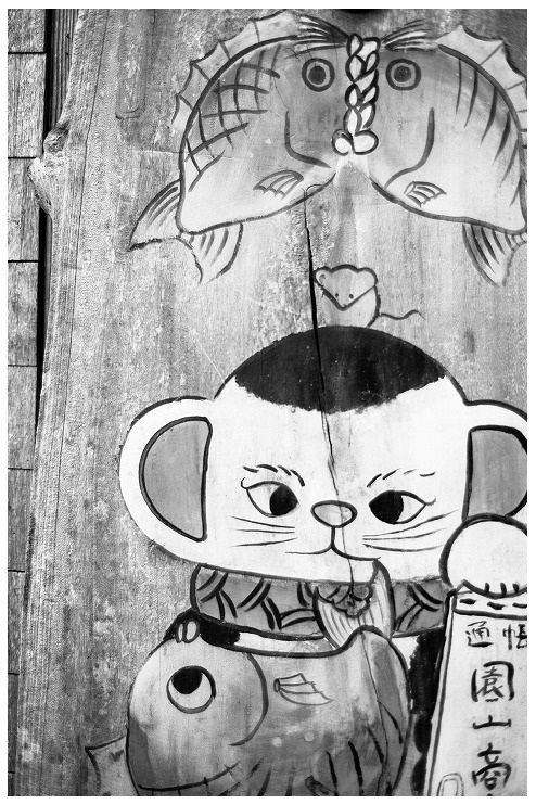 monochrome 猫の細道
