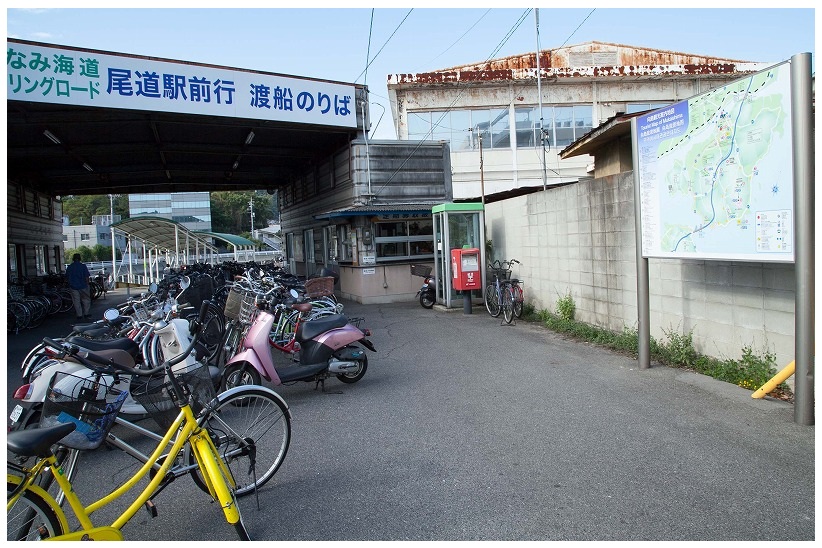 向島運航