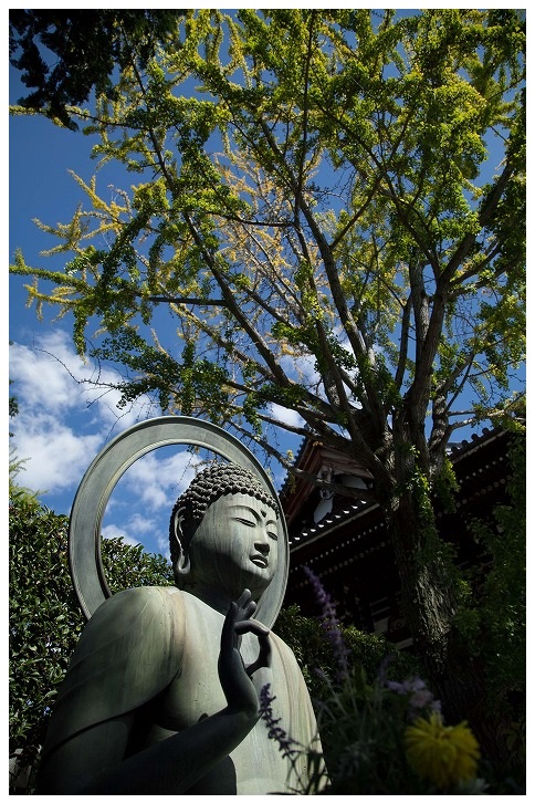 金戒光明寺