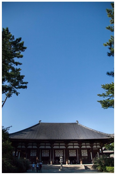 唐招提寺 金堂、平成の甍