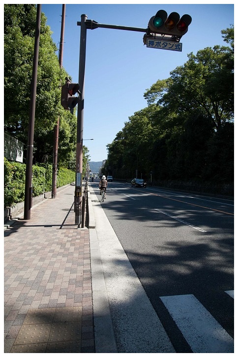今出川通同志社前の自転車