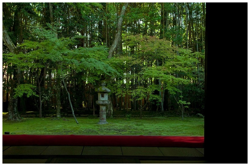 高桐院 庭風景