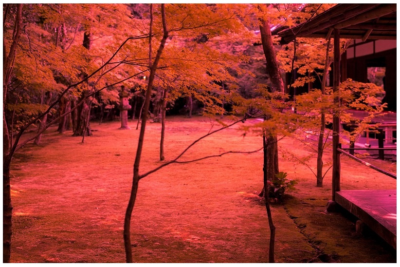 仮想紅葉風景赤