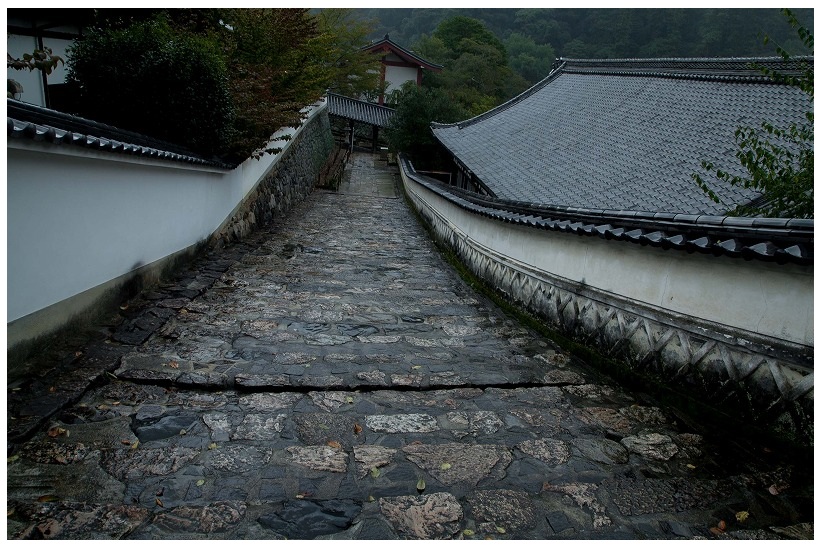 奈良の長谷寺