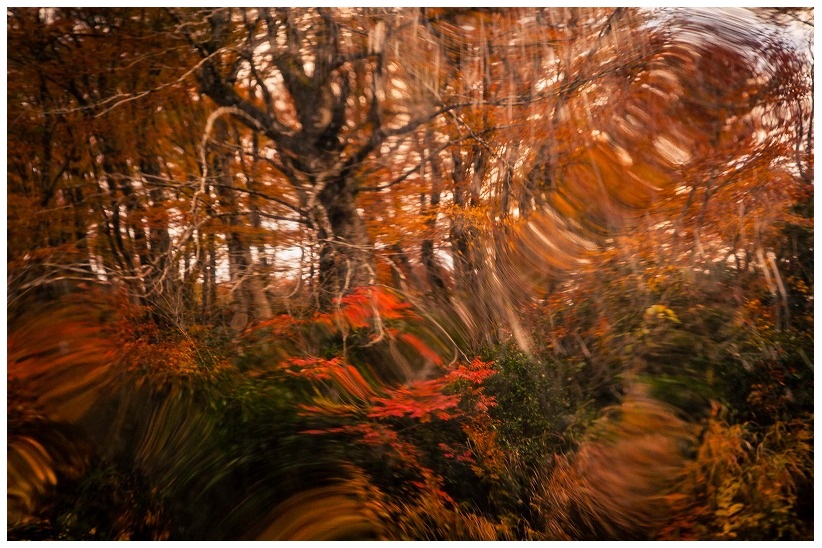 奥胎内のカーブミラーの紅葉