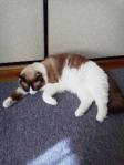 2012081908380000.jpg