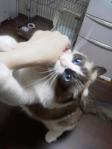 2012102119560000.jpg