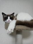 2012120721320000.jpg