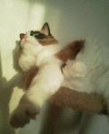 2012122107150000.jpg