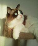 2012122107160000.jpg