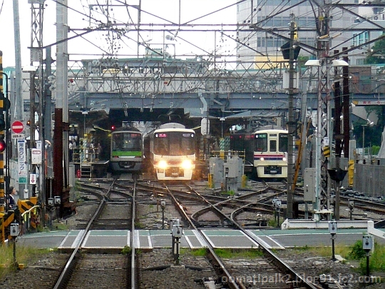 Panasonic_P1100831.jpg