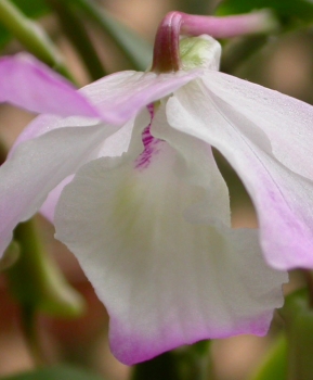 DSCN8703_a.jpg