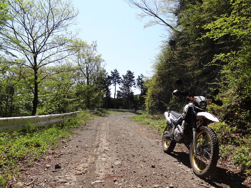 DSC07099.jpg