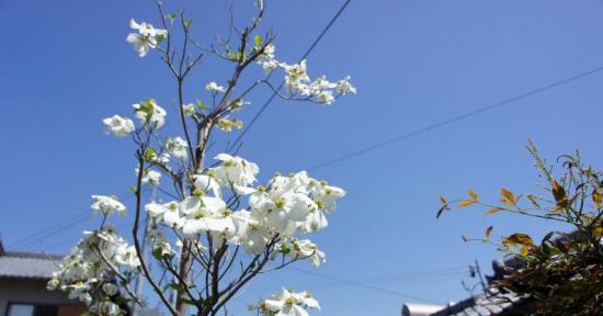 2012+0428+014_convert_20120428213531.jpg