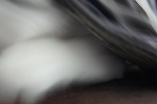 pan