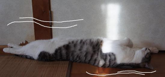 pan