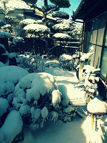 雪