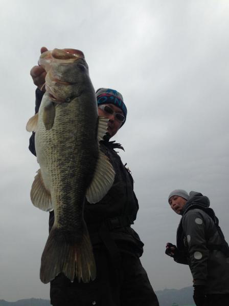 201303204.jpg