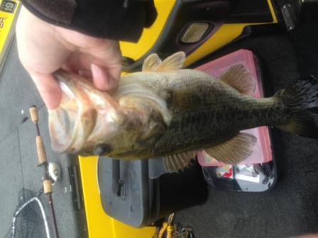 201303208.jpg