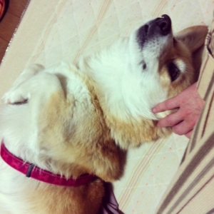 201402032100197ab.jpg