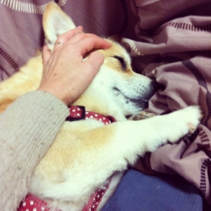 20140203210559608.jpg