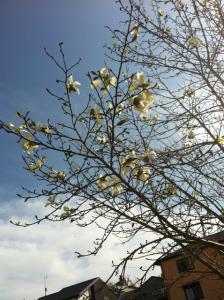 image_20130330092649.jpg