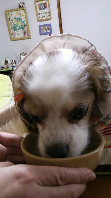2012120919080000.jpg