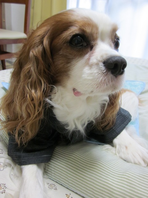 2012_0702_162600-IMG_2223.jpg