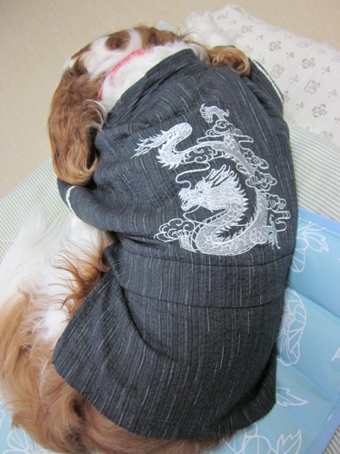 2012_0702_163159-IMG_2226.jpg