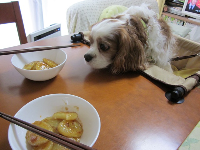 2012_0709_115759-IMG_2260.jpg