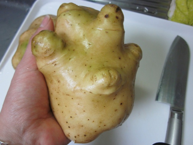 2012_0710_154548-IMG_2274.jpg