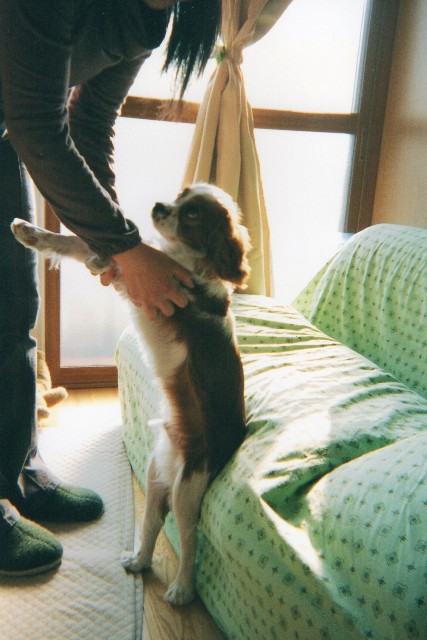 img002.jpg