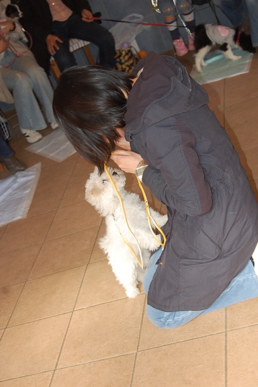 DSC_0157.jpg