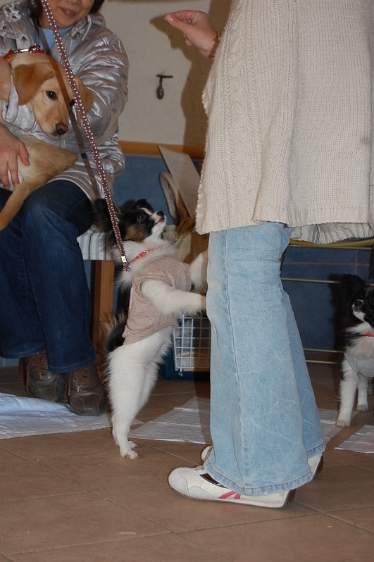 DSC_0168.jpg