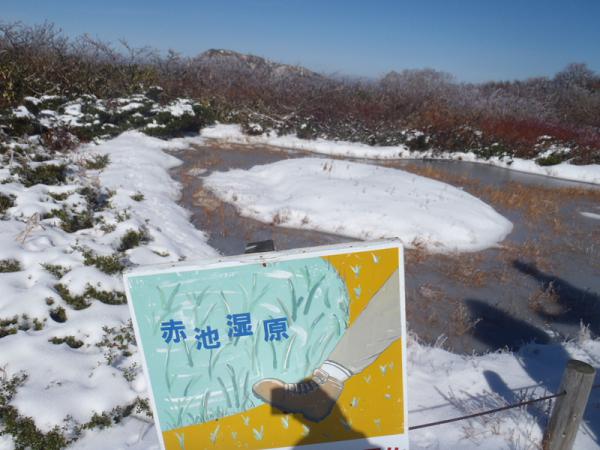 PB040056.jpg