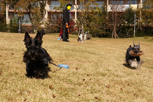 2012年10月☆軽井沢 -2日目- (5)