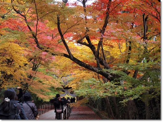 光明寺