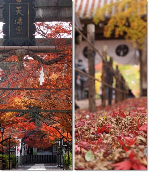 光明寺