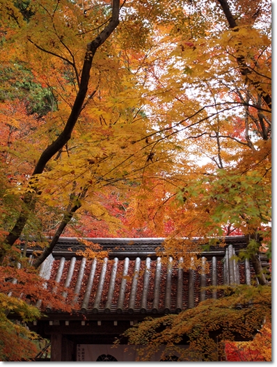 光明寺