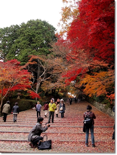 光明寺