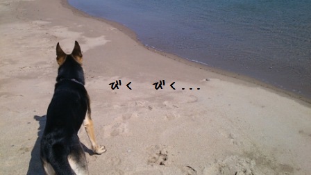 海散歩11