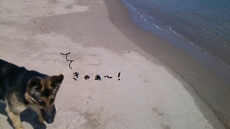 海散歩12