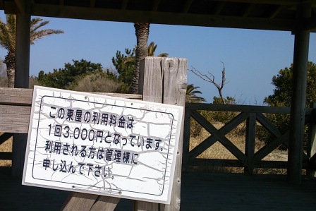 海散歩15