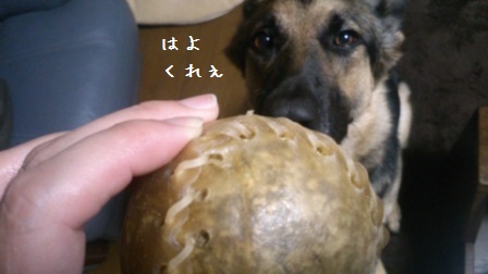 牛皮ボール2