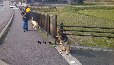 ツーショット