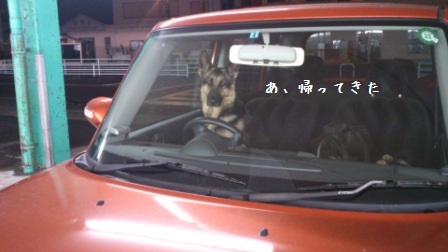 運転手2