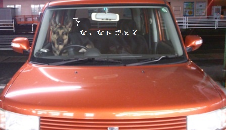 運転手3