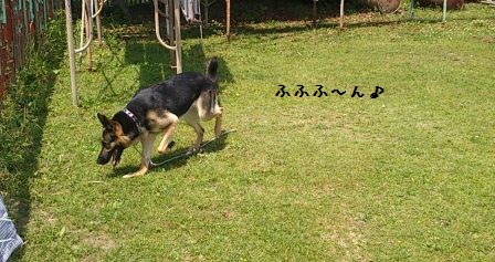鬼のいぬま間に