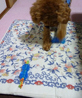 2コセットおもちゃ6